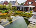 Organische zwemvijver met weelderige beplanting