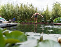 Iemand springt in het water van een natuurlijke zwemvijver