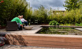 Show zwemvijver Weijer Eco-zwemmen  Assen